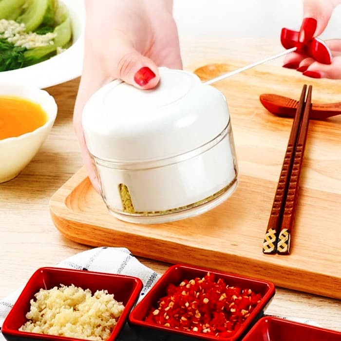 Mini Powerful Meat & Food Grinder