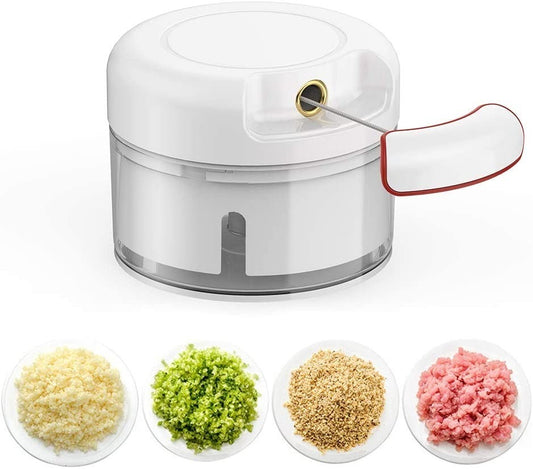 Mini Powerful Meat & Food Grinder